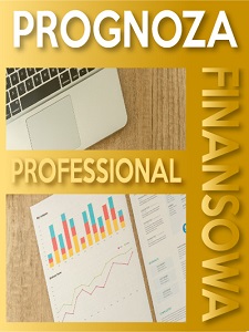 program_prognoza_finansowa_professional