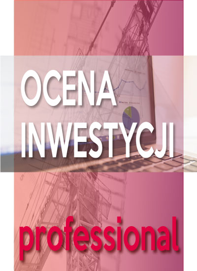 program_ocena_inwestycji_professional