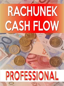 program_rachunek_cash_flow_professional